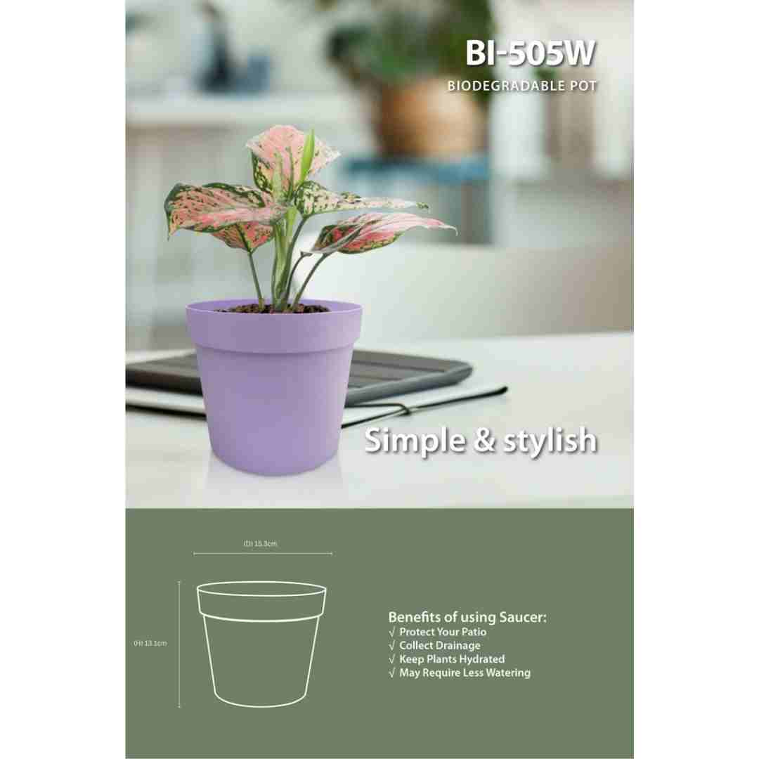 1 Pcs Of BABA (BI-505W) - Prince Garden Centre