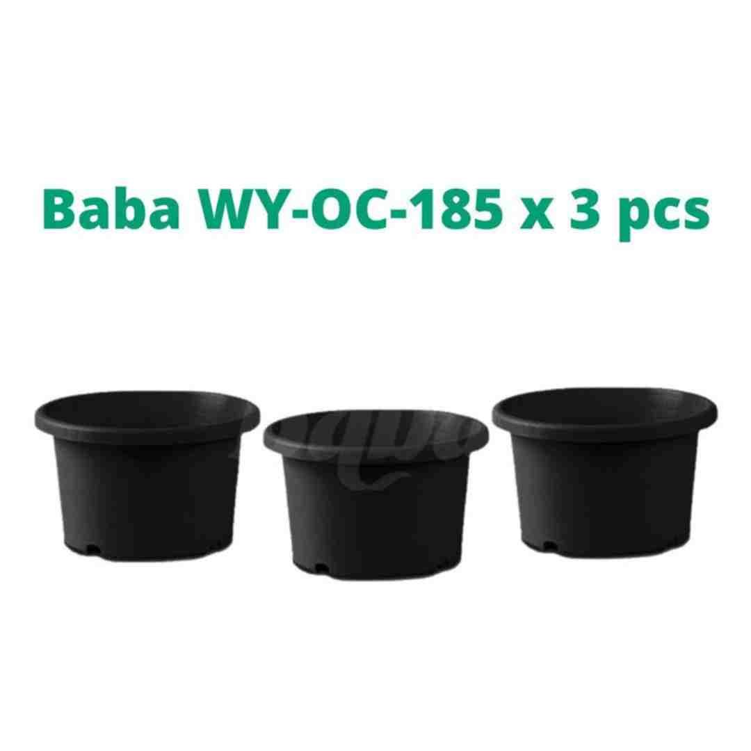 Baba Orchid flower Pot OC 185 - Prince Garden Centre