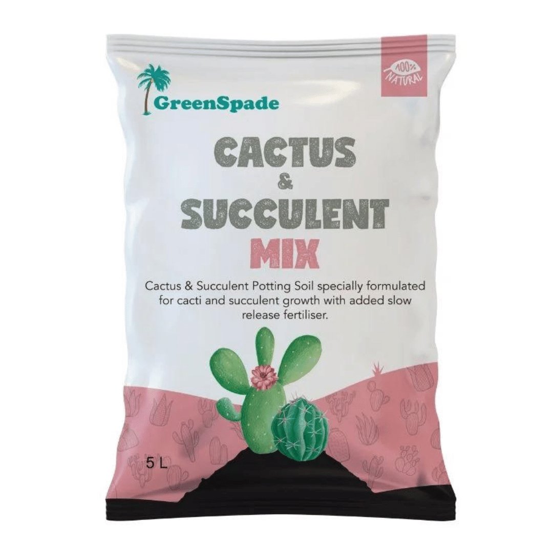 Greenspade Cactus Succulent Mix 5L - Prince Garden Centre