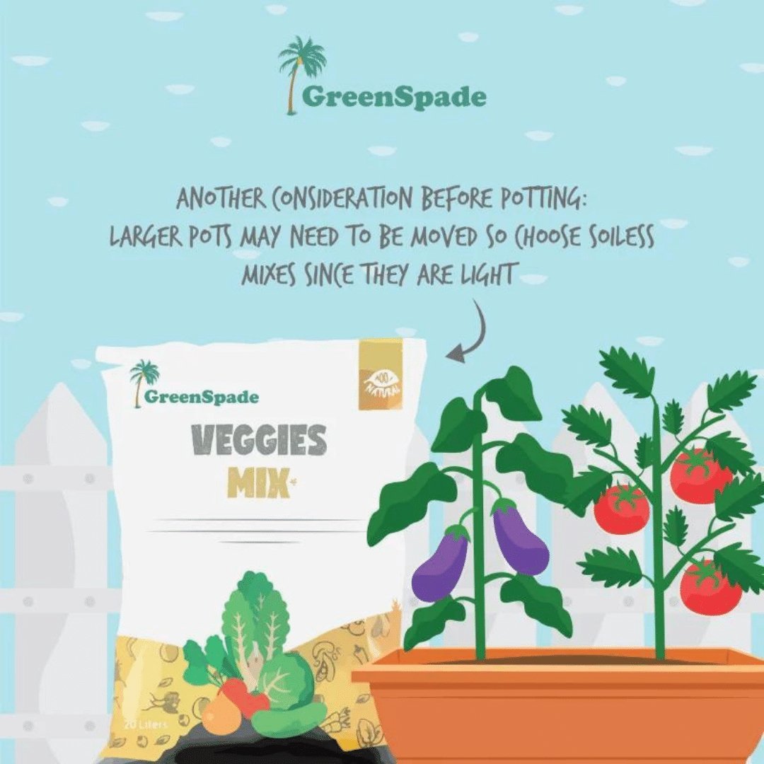 Greenspade Veggies Mix 20L - Prince Garden Centre