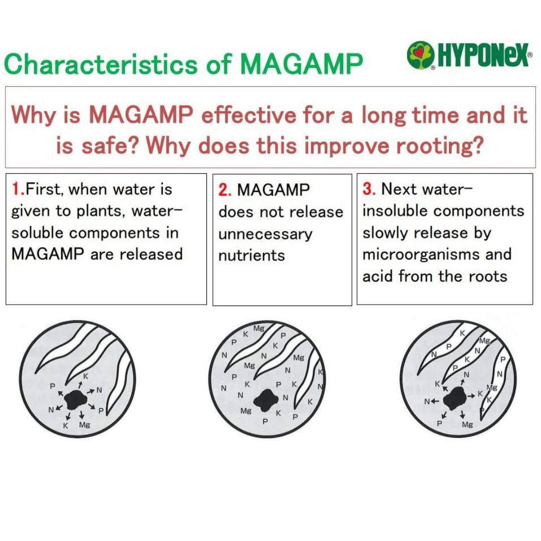 Hyponex - Slow Release Fertiliser Magamp Medium Grain Effectiveness (6mths-1year) - Prince Garden Centre