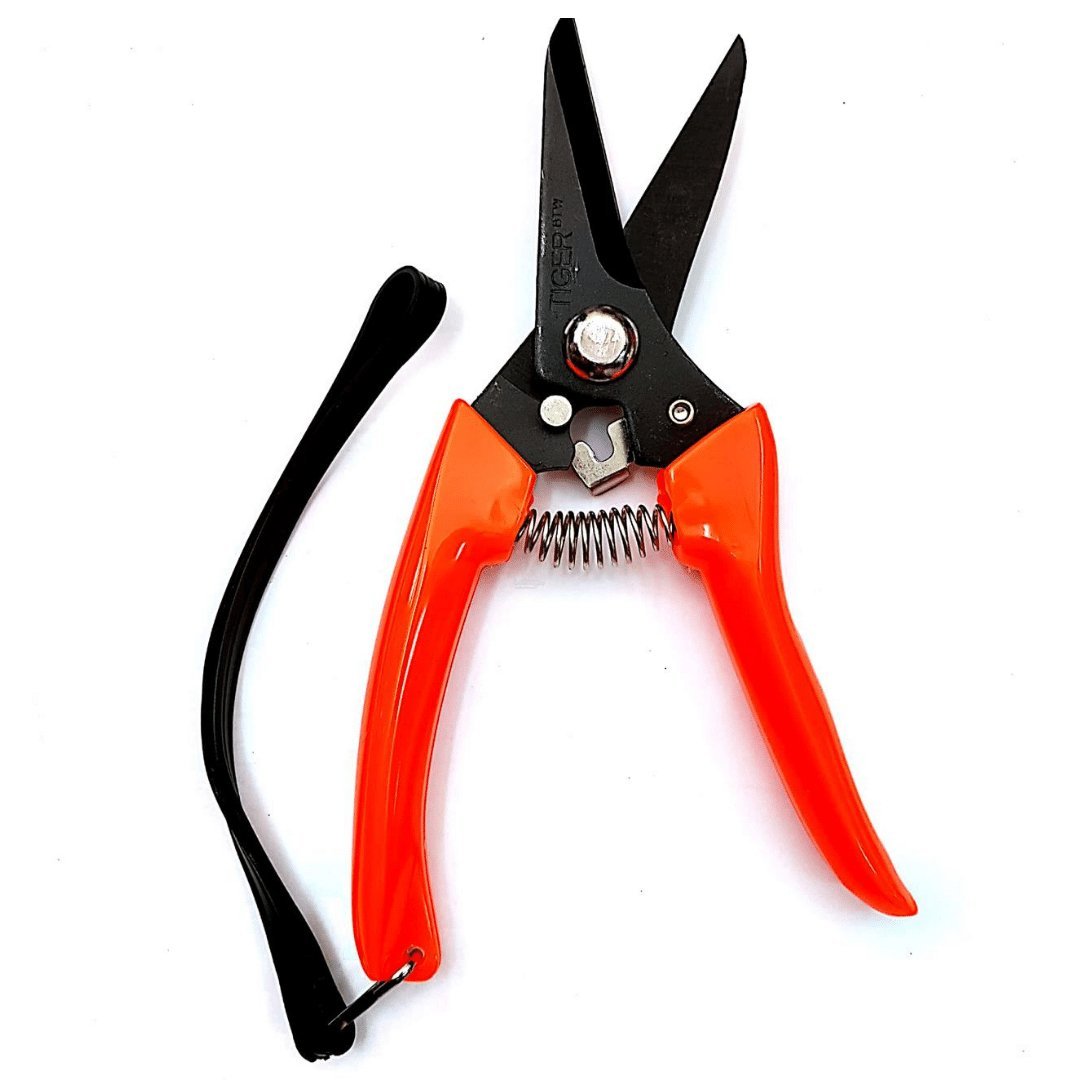 KTK Tiger Pruning Sheer - Prince Garden Centre