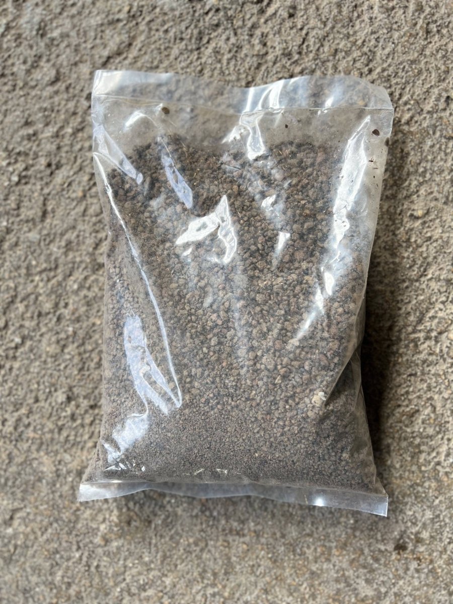 PR Pumice (5L) - Prince Garden Centre