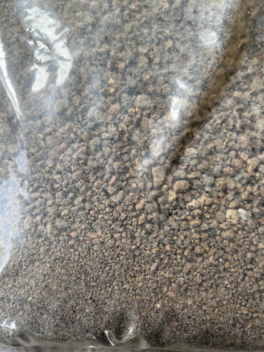 PR Pumice (5L) - Prince Garden Centre