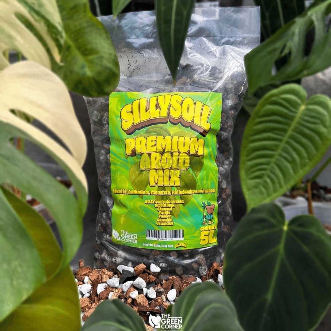 SillySoil Premium Aroid Mix - Prince Garden Centre